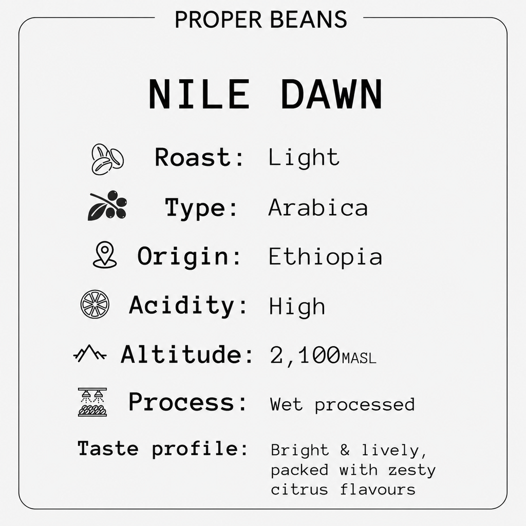 Nile Dawn