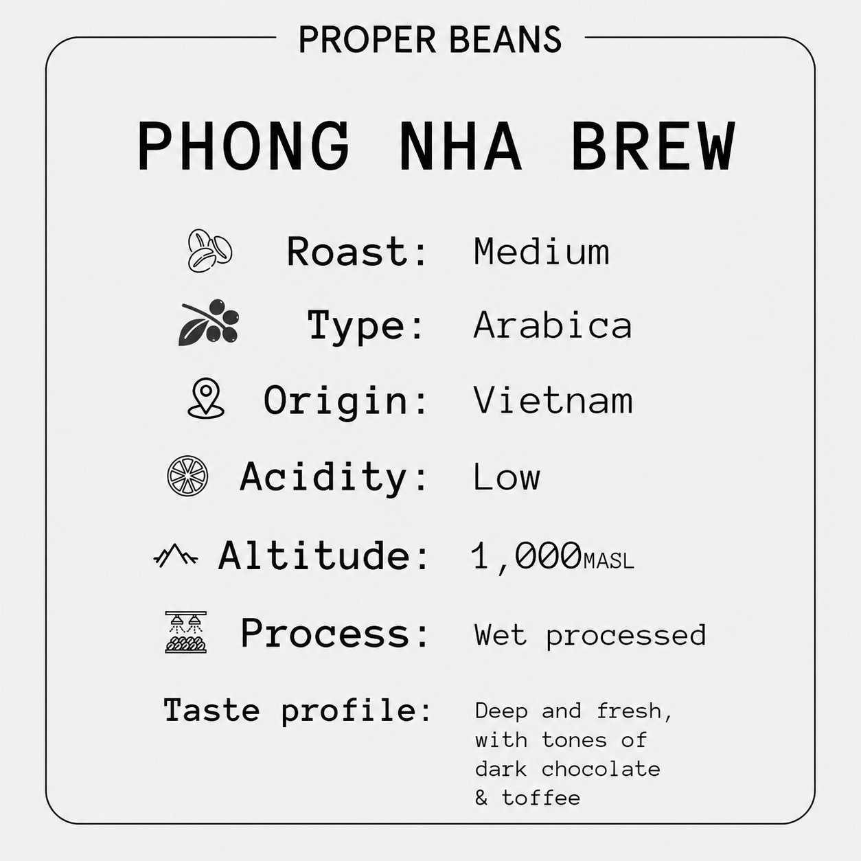 Phong Nha Brew