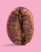Colombia Finca Maracay
