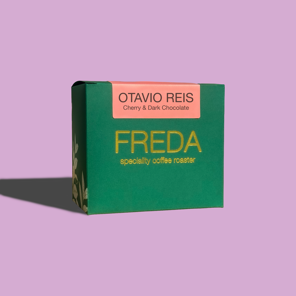 OTAVIO REIS - Brazil
